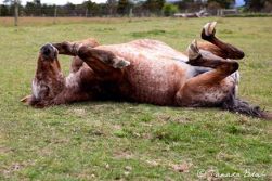 10609528_10152432571395662_7136758487887162542_n