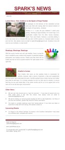 Spark of Hope Newsletter (Winter 2015 edition)